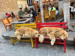 -八木轩·寻味大理白族民俗餐厅(文献路店)