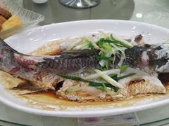 -海晖酒楼·顺德鱼生(荣华店)