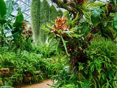 -国家植物园南园