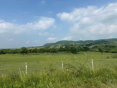 -御道口草原森林风景区
