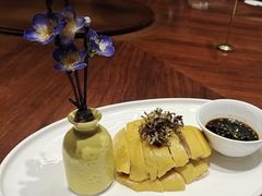 -老绍兴养和饭店(向阳不夜城店)