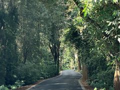 -中国科学院西双版纳热带植物园