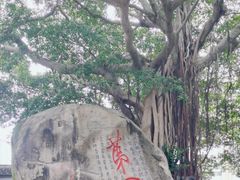 -乌山风景区