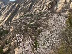 -北京凤凰岭