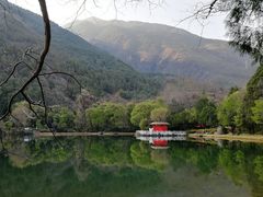 -蝴蝶泉公园