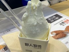-野人先生现做冰淇淋(西安赛格店)