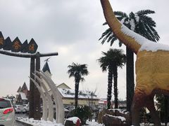 -常州环球恐龙城维景国际大酒店
