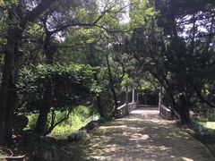 -叶家花园
