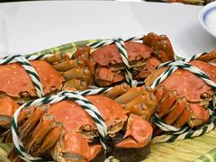 -蟹天蟹地农家菜·阳澄湖大闸蟹(浅水湾店)