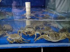 -阳澄湖大闸蟹·琼灵阁牌品牌连锁(吴中总店)