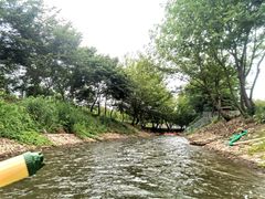 -天目湖松岭竹海漂流