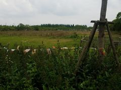 -长兴岛郊野公园农场食堂