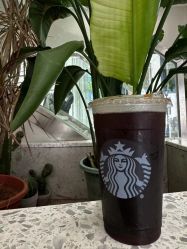 -TZ HAIR SALON烫发染发接发