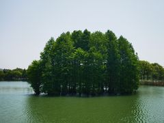 -尚湖风景区