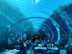 -海棠湾洲际-涛·海底餐厅·美人鱼·自助餐·海底隧道