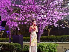 -上海南浦大桥长途旅游客运站