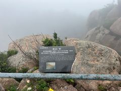 -崂山巨峰游览区
