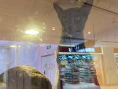 -爪爪喵星球·猫舍(前海卓越店)