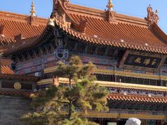 -大召无量寺