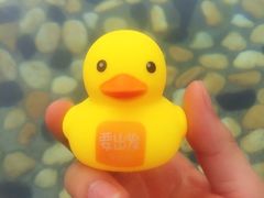 -崇阳三特浪口温泉