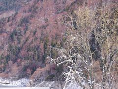 -叠溪松坪沟景区