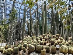 -南山植物园