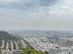 -花园菜市场