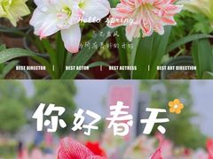 -花博汇(知音花月夜)