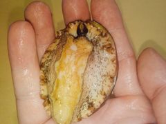 -特色酱椒鱼私房菜(黄鹤楼店)
