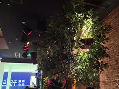 -同仁四季椰子鸡(无锡滨湖万象汇店)