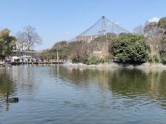 -成都动物园