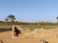 -盘龙城国家考古遗址公园