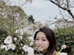 -南山植物园