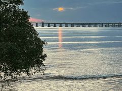 -宝安西湾红树林湿地公园