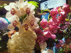 -二酉书店TOYOU BOOKS