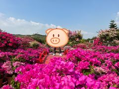 -盈香心动乐园