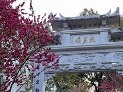 -乌山风景区