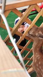 -萌宠亲子动物乐园(槐房万达店)