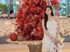 -广州奥园喜来登酒店