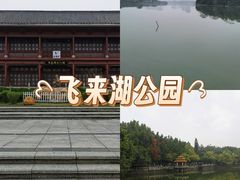 -飞来湖湿地公园
