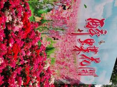 -盈香心动乐园