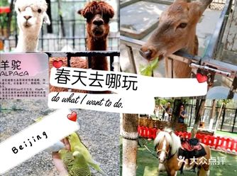 天气逐渐变暖和了，由于孩子们在家待的时间太久了