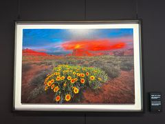 -罗红摄影艺术馆