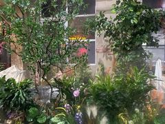 -兴芮温泉度假区