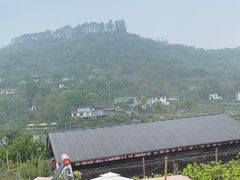 -玫瑰庄园·自助烧烤·烤全羊·团建拓展(龙泉山店)