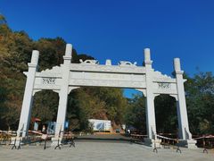 -羚羊峡古栈道森林公园