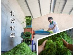 -郴州特产舜华临武鸭(郴州西站店)