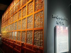 -青海藏文化博物院