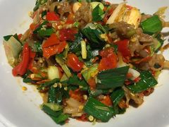 鸭掌筋-壹盏灯(惠农店)