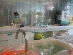 -华美国际月子会所(合生店)
